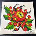 Chrysanthemum Spider