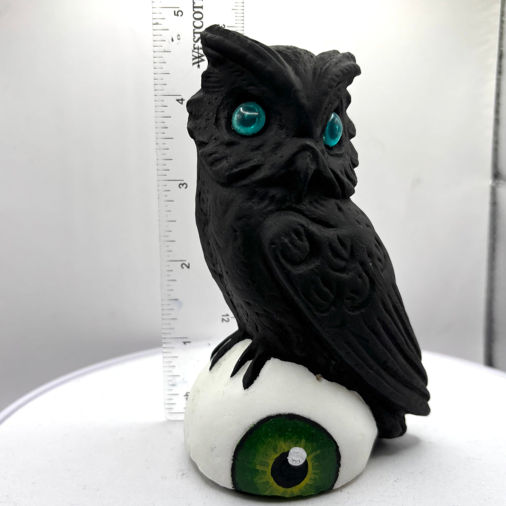 Owl on Eyeball